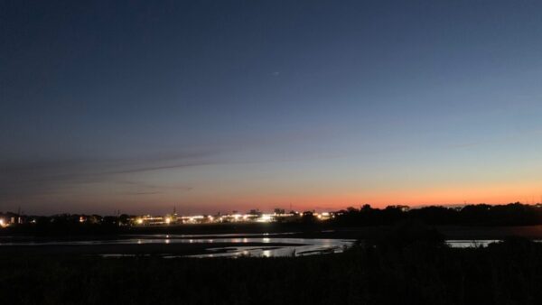 ーメディウムの中で出会ったもう一人の自分ー　2021年5月3日（天プロ2期卒業論文）